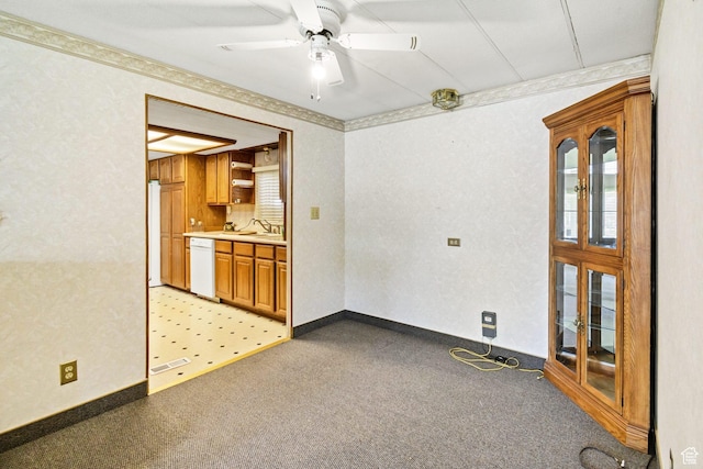 162 E 200 N, Monroe, UT 84754 - unfurnished room with light colored carpet, ceiling fan, and a sink