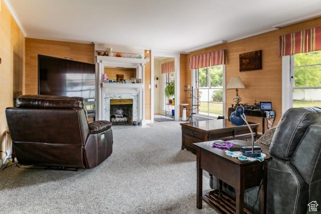 611 E 100 N, Brigham City, UT 84302 - living area with carpet, healthy amount of natural light, a high end fireplace, wood walls, and crown molding
