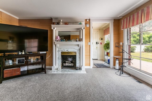 611 E 100 N, Brigham City, UT 84302 - living area with carpet, crown molding, and a high end fireplace