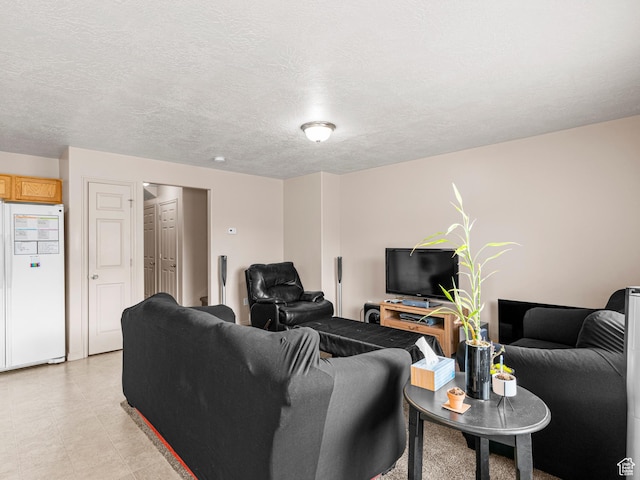 1422 E 1200 S, Provo, UT 84606 - living room featuring a textured ceiling