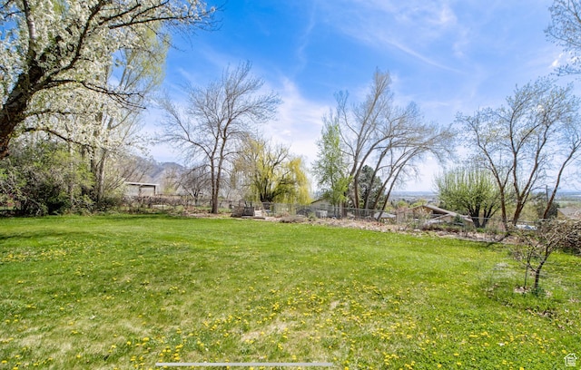 331 W Elberta Dr, Pleasant View, UT 84414 - view of yard