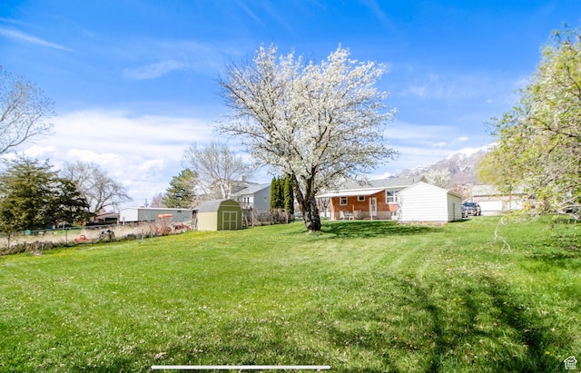 331 W Elberta Dr, Pleasant View, UT 84414 - view of yard