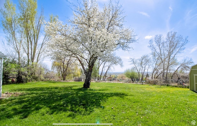 331 W Elberta Dr, Pleasant View, UT 84414 - view of yard