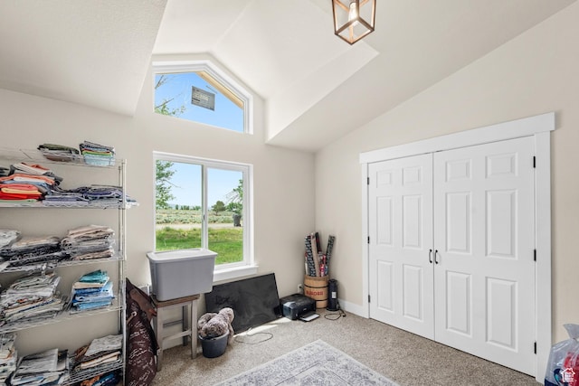 1665 E 1280 N, Mount Pleasant, UT 84647 - carpeted bedroom featuring vaulted ceiling and a closet