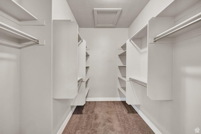 1712 W Naxos Ln, South Jordan, UT 84095 - walk in closet with carpet floors and attic access
