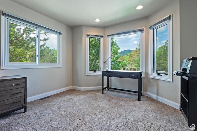 2300 Comstock Dr, Park City, UT 84060 - unfurnished office with healthy amount of natural light, carpet flooring, baseboards, and recessed lighting