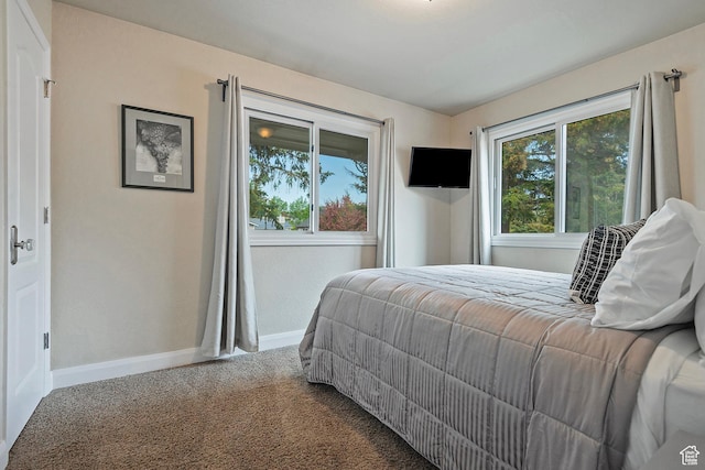 2300 Comstock Dr, Park City, UT 84060 - carpeted bedroom featuring baseboards