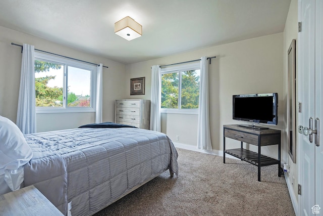 2300 Comstock Dr, Park City, UT 84060 - bedroom with carpet and baseboards