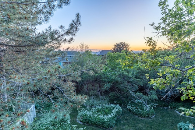 145 Deer Run Ln, Layton, UT 84040 - view of nature