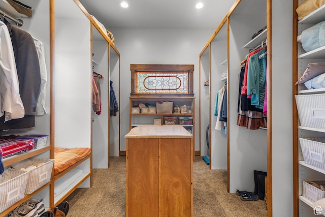 1560 Reserve Dr, Fish Haven, ID 83287 - spacious closet with light colored carpet