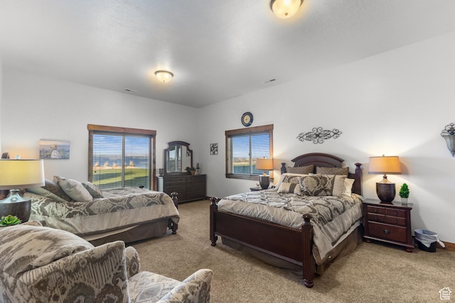 1560 Reserve Dr, Fish Haven, ID 83287 - view of carpeted bedroom
