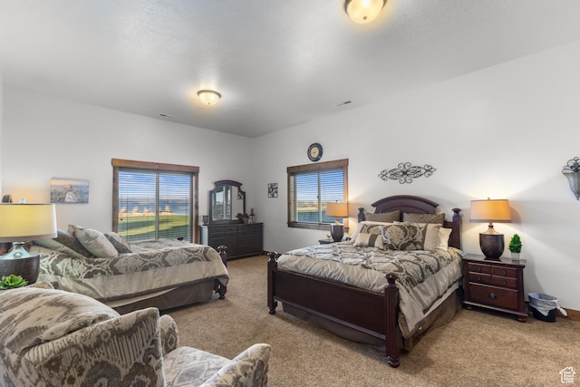1560 Reserve Dr, Fish Haven, ID 83287 - view of carpeted bedroom