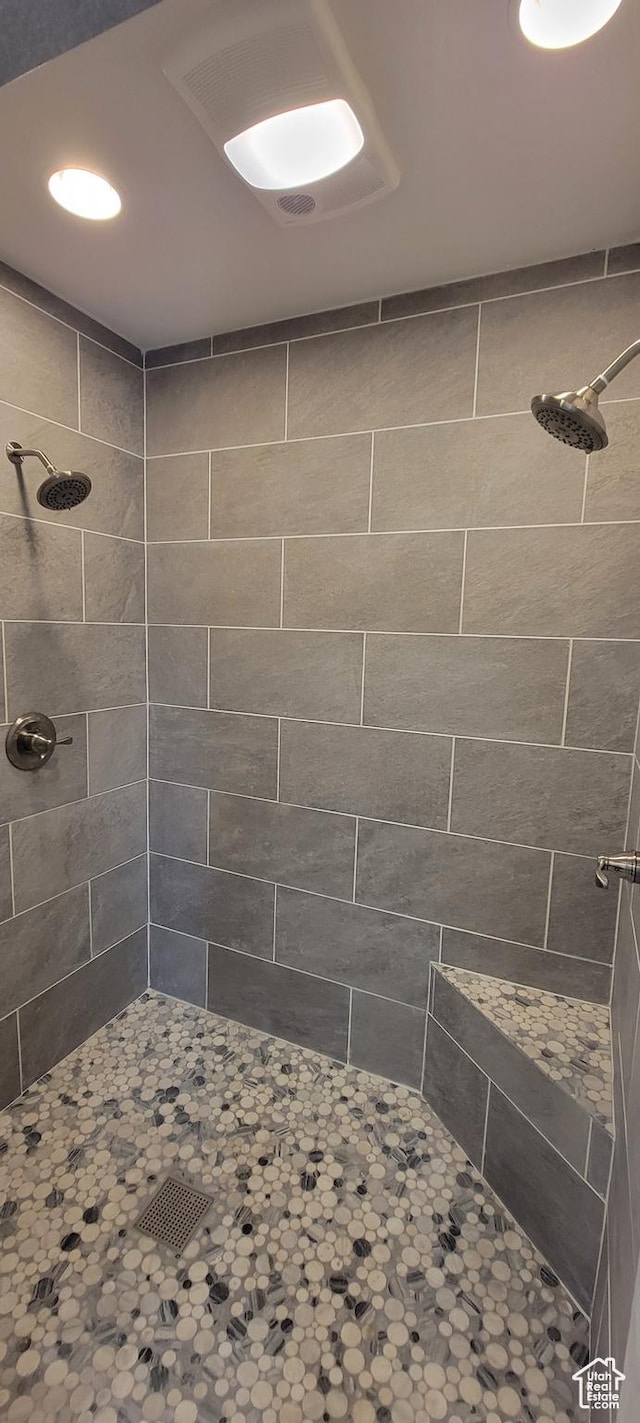 325 W Apple St, Grantsville, UT 84029 - bathroom with tiled shower
