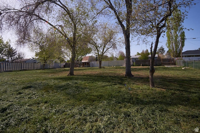 325 W Apple St, Grantsville, UT 84029 - view of yard