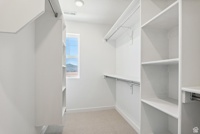 6656 W 11800 S Unit 619, South Jordan, UT 84009 - spacious closet with carpet flooring