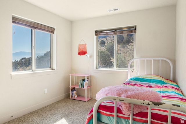 4114 E Cherokee St, Eagle Mountain, UT 84005 - bedroom featuring carpet floors and multiple windows