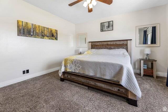 867 E Rodeo Dr, Grantsville, UT 84029 - photo 16