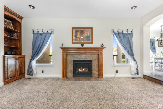 867 E Rodeo Dr, Grantsville, UT 84029 - photo 6