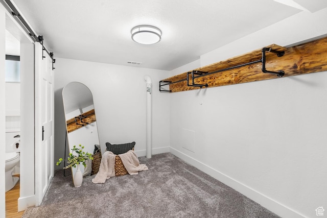 1022 27th St S, Ogden, UT 84403 - spacious closet with a barn door and carpet flooring