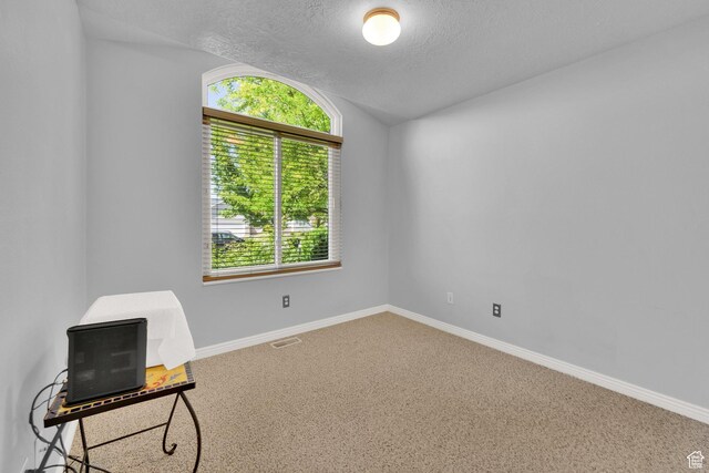 7443 W Perennial Dr, Magna, UT 84044 - carpeted spare room with vaulted ceiling and a textured ceiling