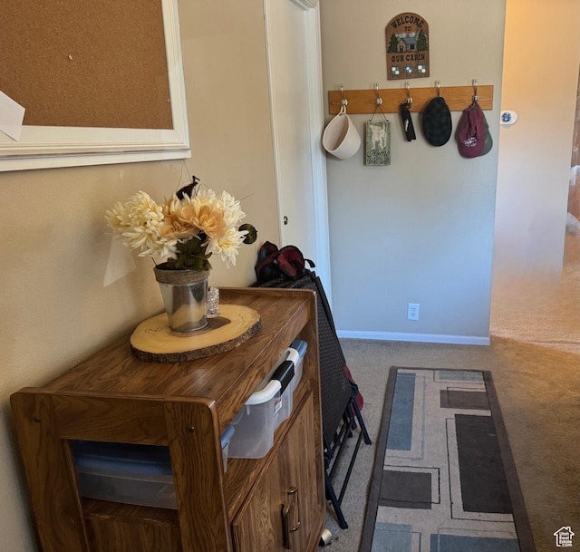 6430 S 37280 W Unit 40, Fruitland, UT 84027 - corridor with carpet floors