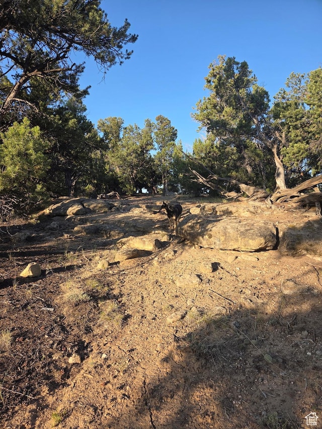 6430 S 37280 W Unit 40, Fruitland, UT 84027 - view of undeveloped land