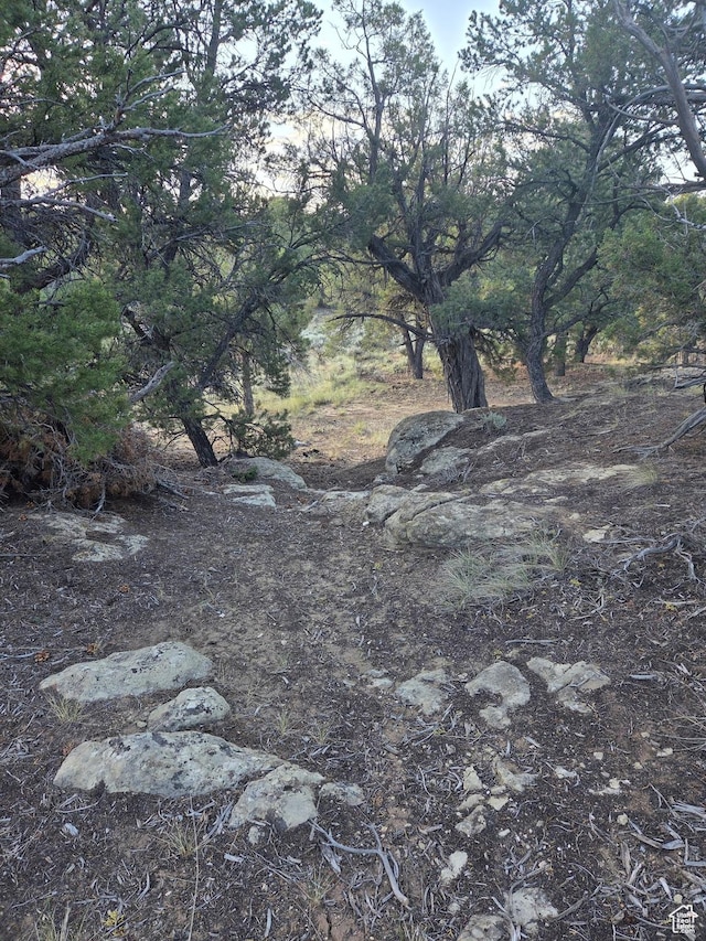 6430 S 37280 W Unit 40, Fruitland, UT 84027 - view of local wilderness