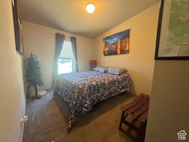 6430 S 37280 W Unit 40, Fruitland, UT 84027 - carpeted bedroom with vaulted ceiling