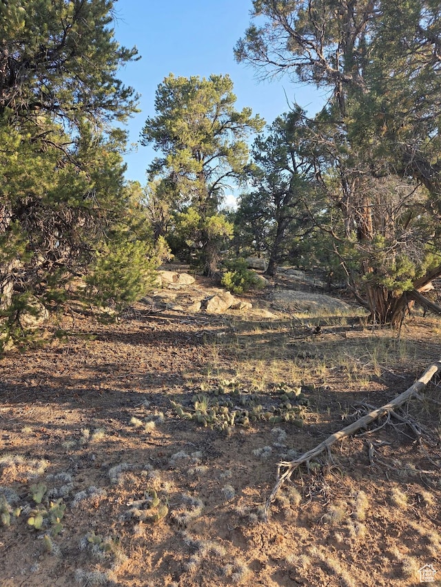 6430 S 37280 W Unit 40, Fruitland, UT 84027 - view of nature