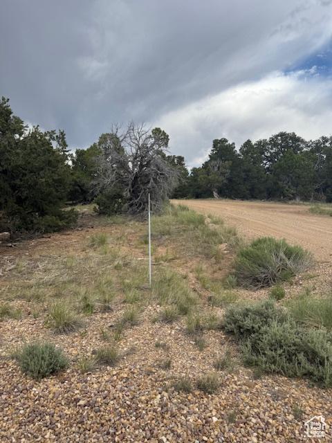 6430 S 37280 W Unit 40, Fruitland, UT 84027 - view of nature