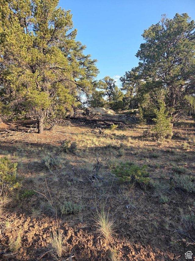 6430 S 37280 W Unit 40, Fruitland, UT 84027 - view of undeveloped land
