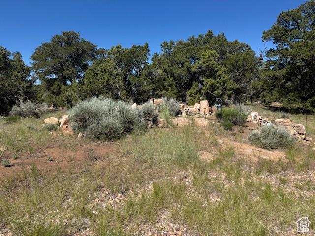 6430 S 37280 W Unit 40, Fruitland, UT 84027 - view of undeveloped land