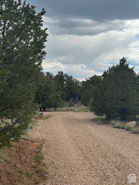 6430 S 37280 W Unit 40, Fruitland, UT 84027 - view of nature