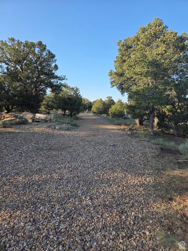6430 S 37280 W Unit 40, Fruitland, UT 84027 - view of yard