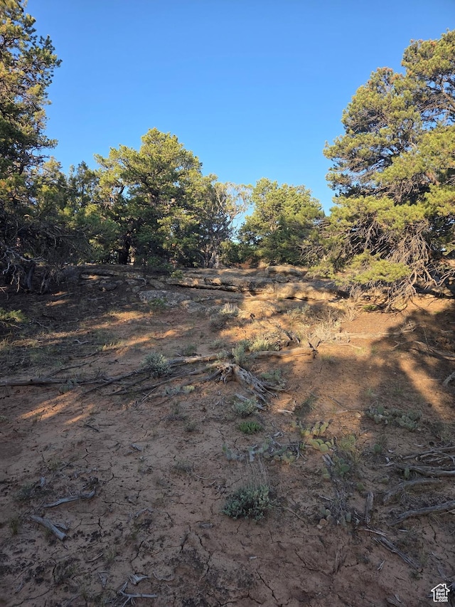 6430 S 37280 W Unit 40, Fruitland, UT 84027 - view of nature