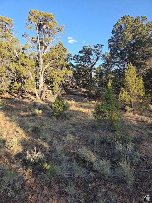6430 S 37280 W Unit 40, Fruitland, UT 84027 - view of local wilderness