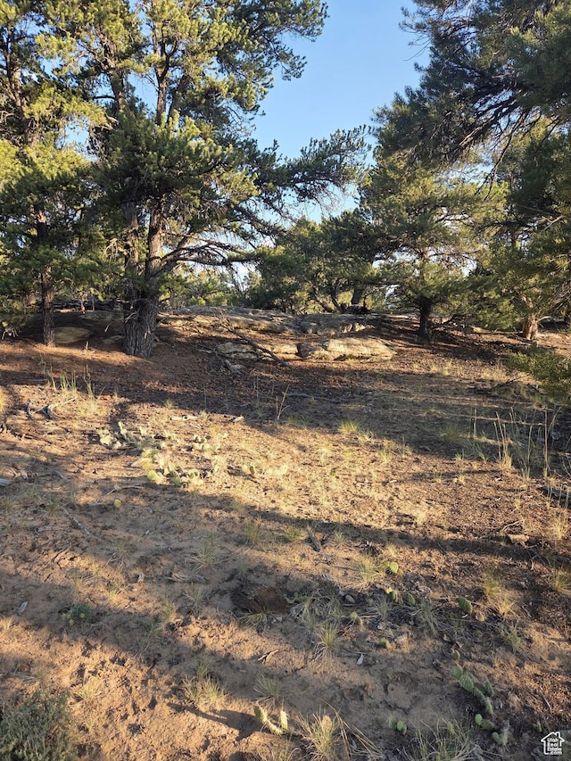 6430 S 37280 W Unit 40, Fruitland, UT 84027 - view of local wilderness