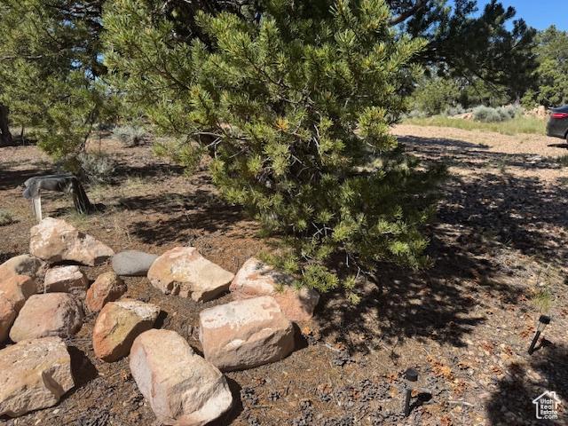 6430 S 37280 W Unit 40, Fruitland, UT 84027 - view of yard