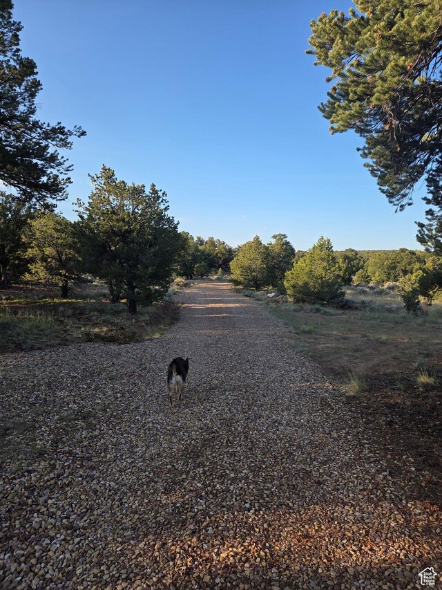 6430 S 37280 W Unit 40, Fruitland, UT 84027 - view of road with a rural view