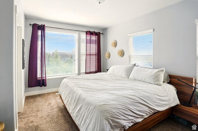 4746 W Daybreak Rim Way S, Jordan, UT 84009 - bedroom featuring carpet floors and multiple windows