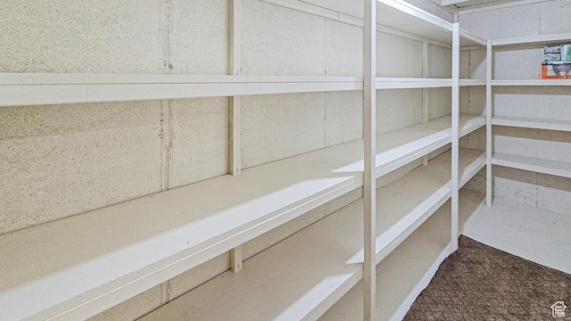 1812 E 1460 S, Spanish Fork, UT 84660 - view of storage room