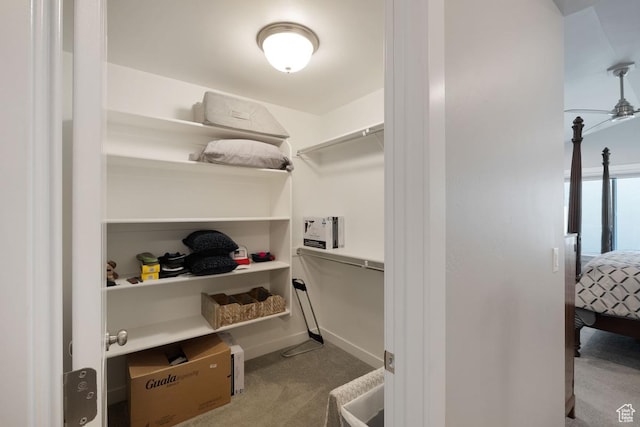 1308 E Daffodil Ct Unit 150, Layton, UT 84040 - spacious closet with carpet floors