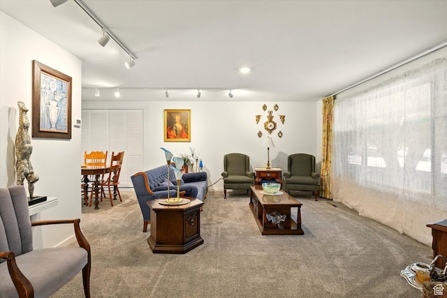 1188 N 600 E, Logan, UT 84341 - living area featuring rail lighting and carpet