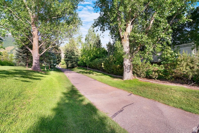 2795 E Palma Way, Cottonwood Heights, UT 84121 - view of community featuring a lawn