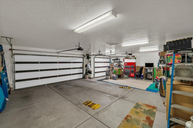 3075 E Delany Dr, St George, UT 84790 - garage featuring a garage door opener