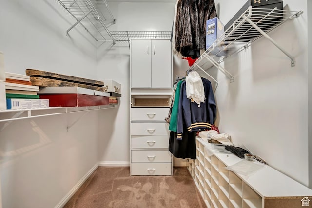 9656 Villa Springs Cv, Sandy, UT 84070 - spacious closet featuring carpet