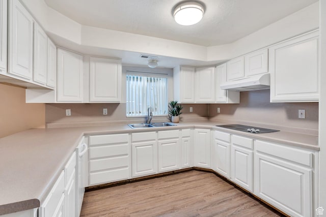 2522 N 1000 E, Provo, UT 84604 - kitchen with under cabinet range hood, black electric cooktop, white cabinets, and light wood finished floors