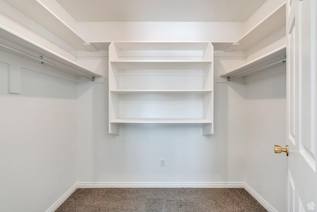 2522 N 1000 E, Provo, UT 84604 - walk in closet featuring carpet floors