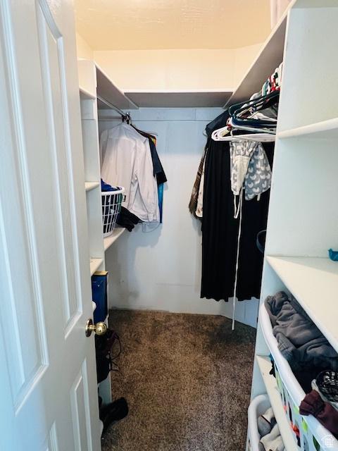 2908 N Cherry Dr E, North Ogden, UT 84414 - walk in closet with carpet