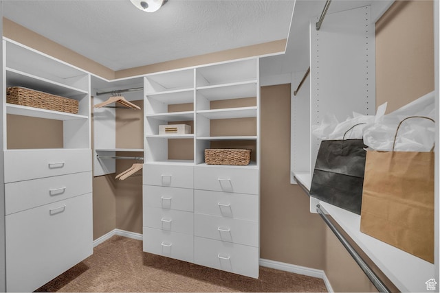336 W 270 S, Ivins, UT 84738 - walk in closet featuring dark colored carpet